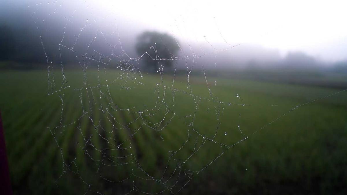 上海经纪公司有哪些