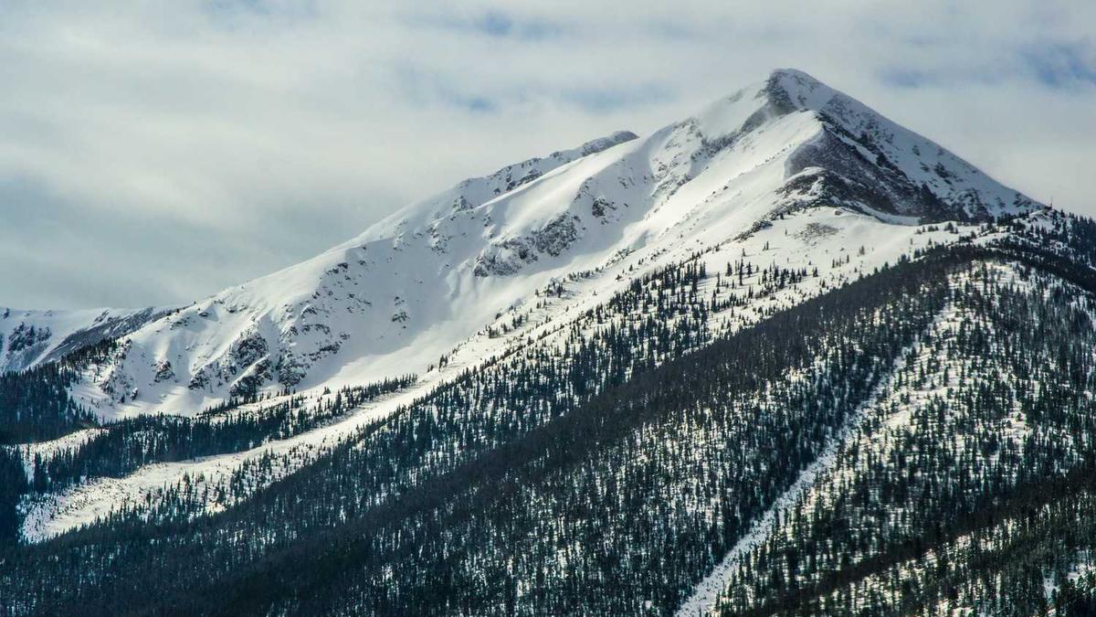 上海有没有可以边喝茶或咖啡,可以点餐,然后还可以提供漫画或书借阅的...