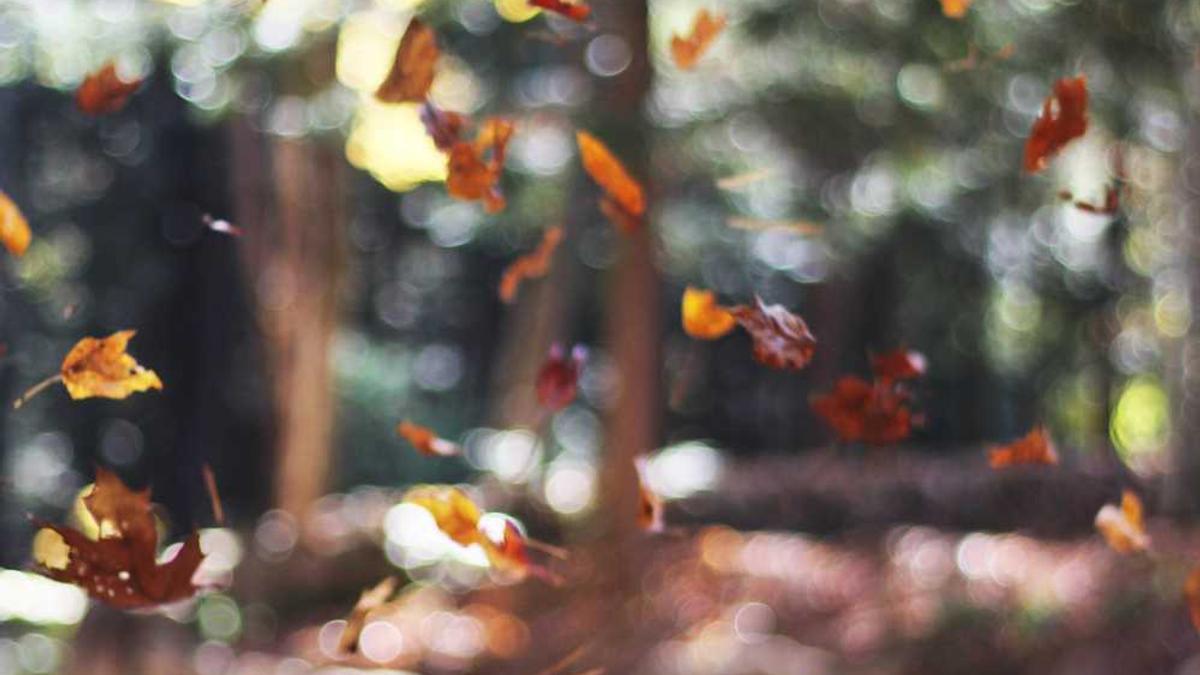 四平市下包括哪些地区