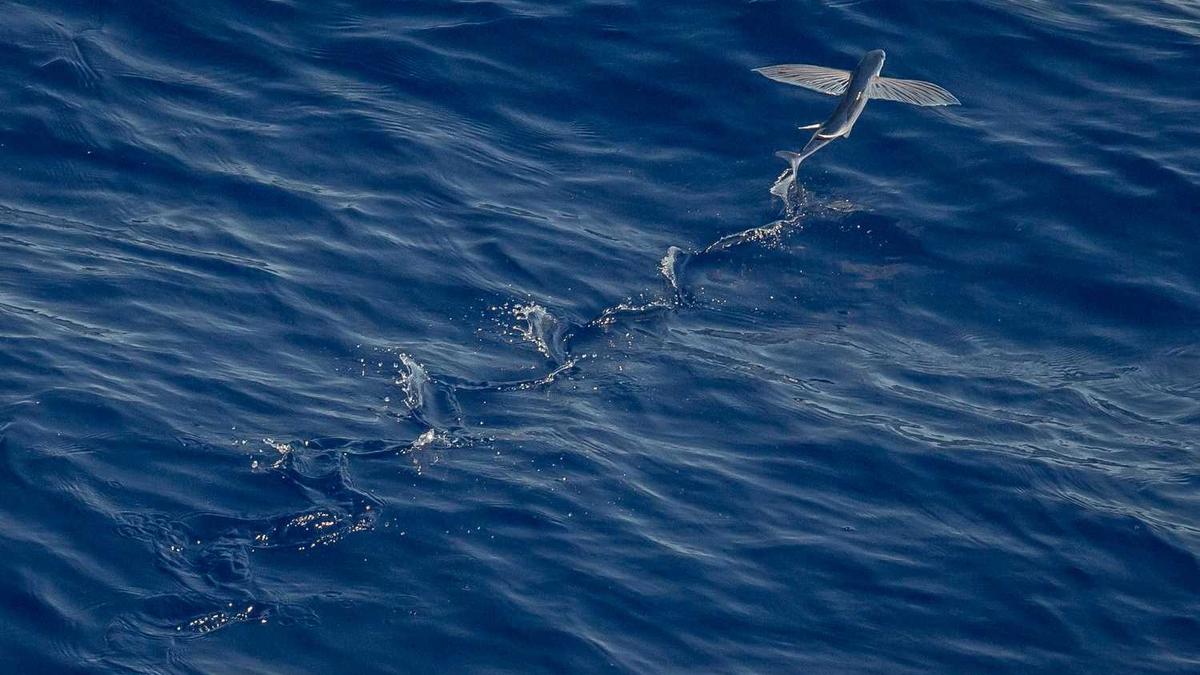 酒席上来宾是什么意思啊