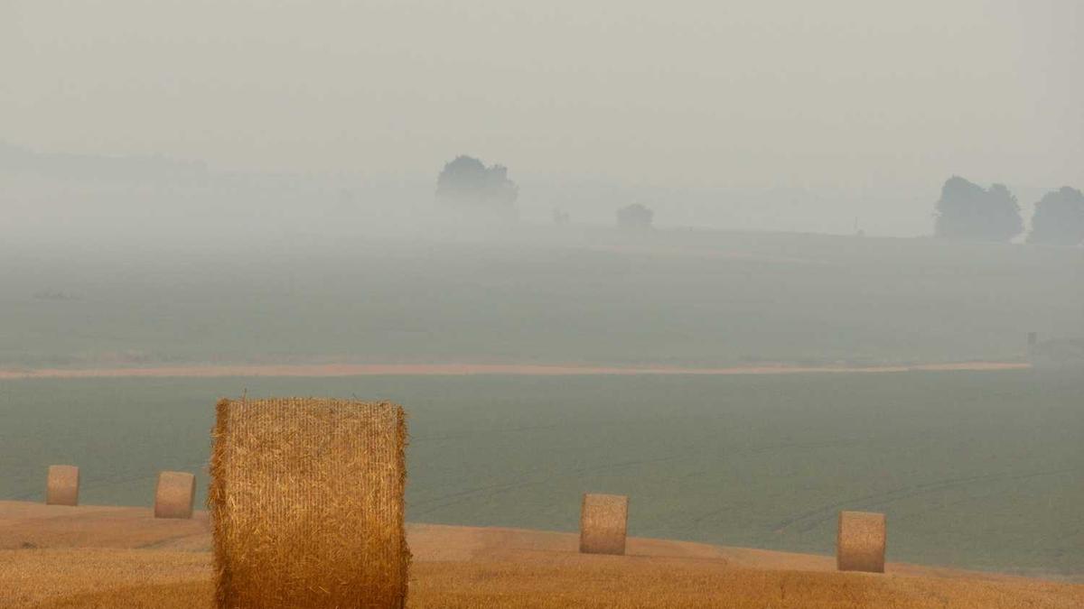 要把女生约出门该怎么开口说?