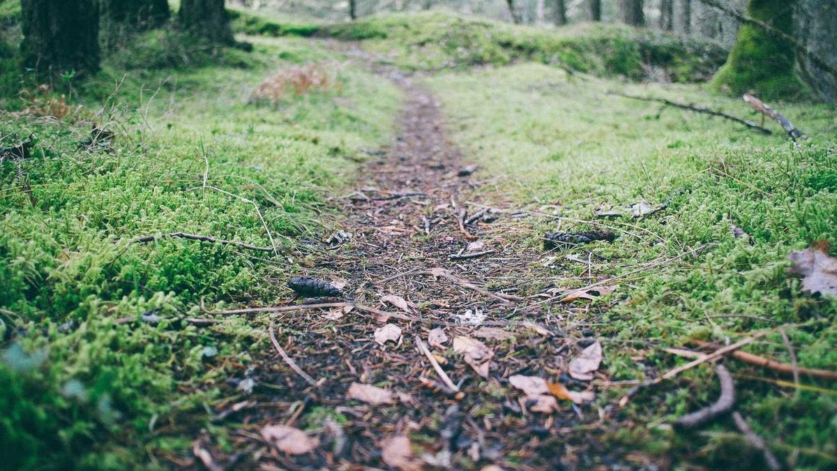 沃音乐怎么开通-如何成为沃音乐会员