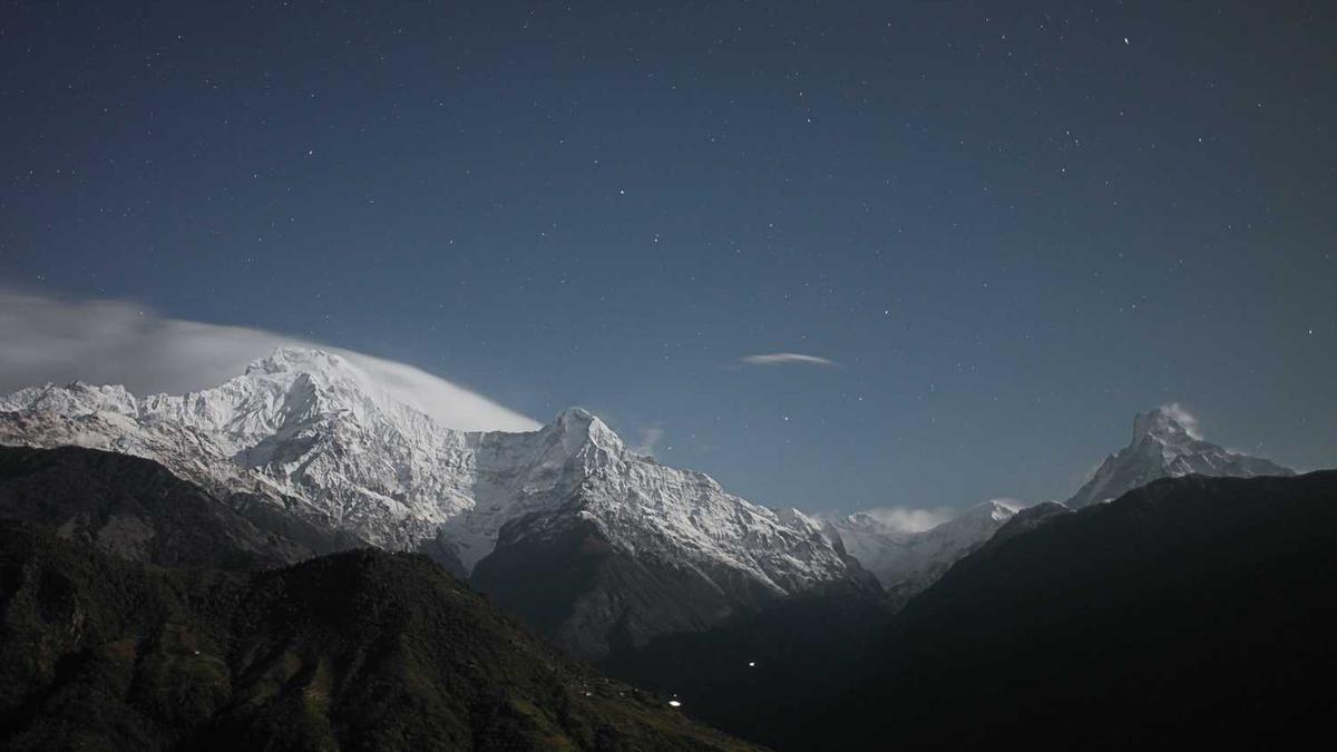 男子杀母亲后为何又砍死邻居?