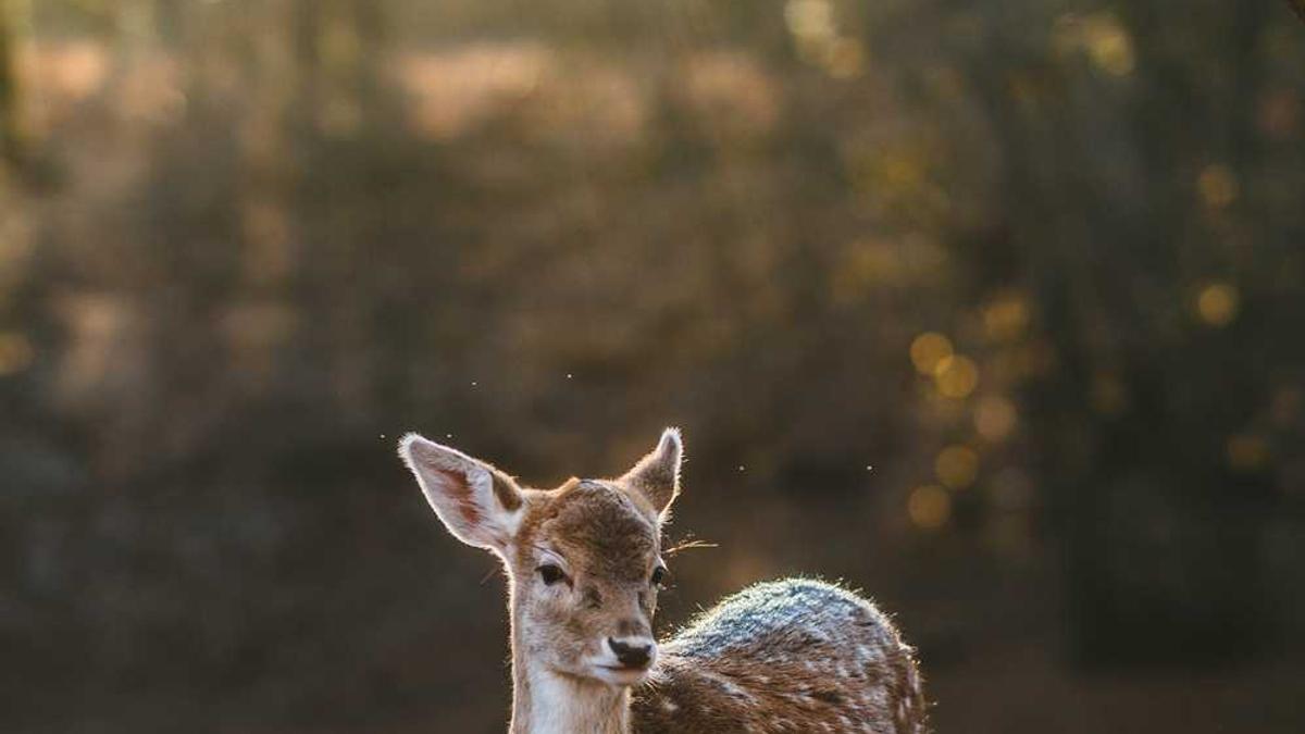 内蒙古伊东煤炭集团有限责任公司的公司大事件