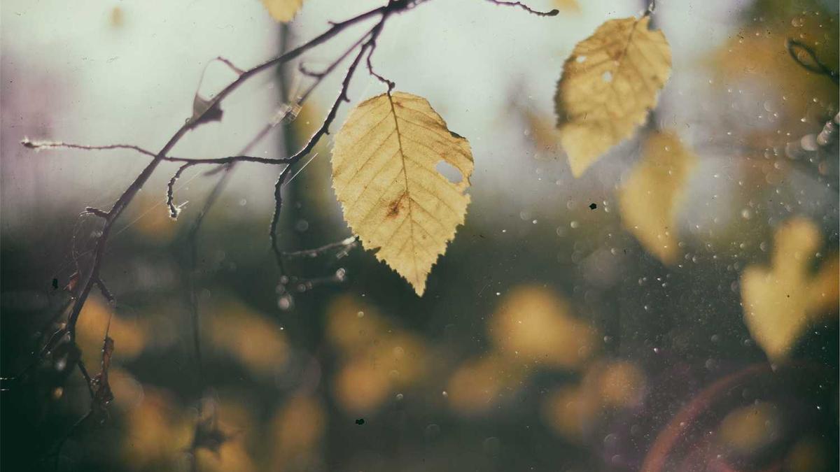 廖小波的人物事件