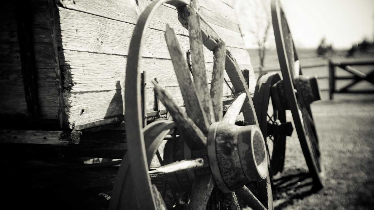 在北京什么时候赏菊花最好