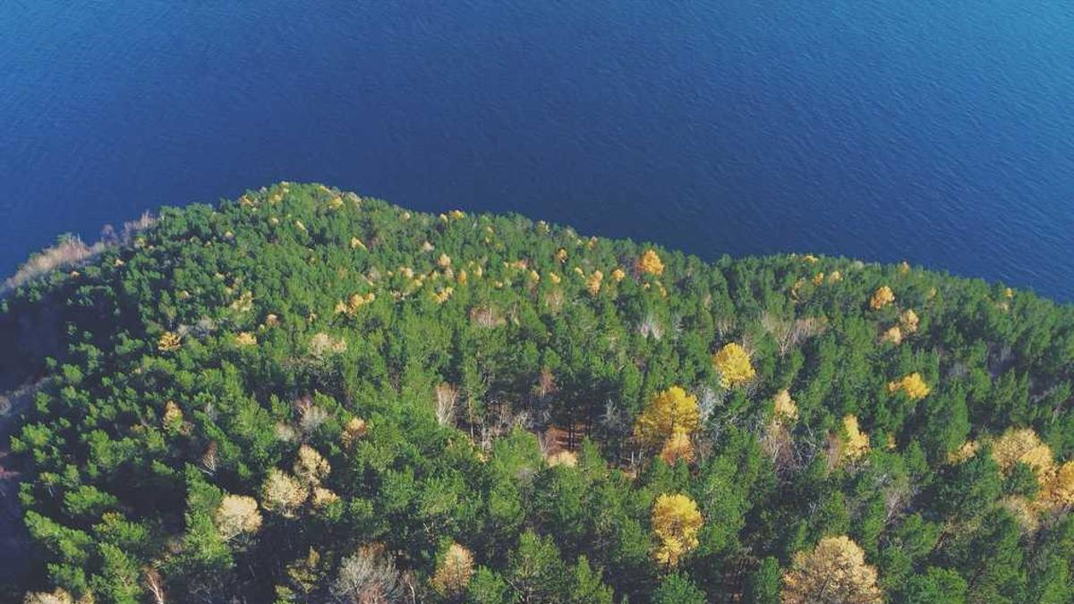 宿迁医保多少钱