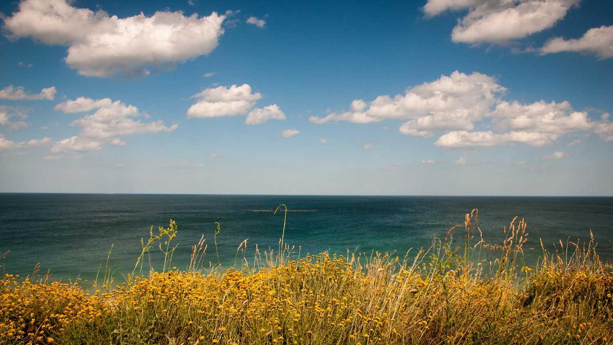 辽宁省朝阳市都包括哪里?