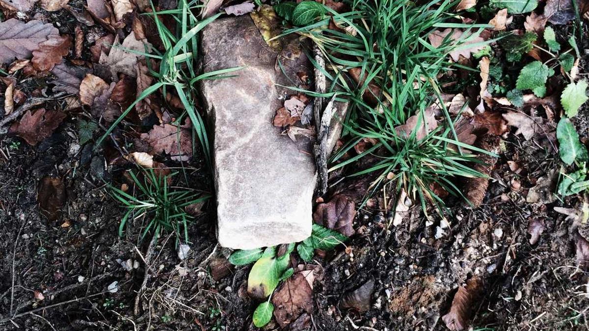 苏州银行存款利率 苏州银行贷款利率2024