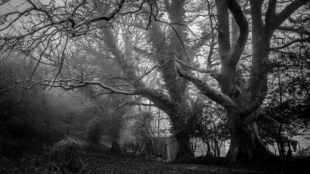 威孚高科 知识产权管理制度