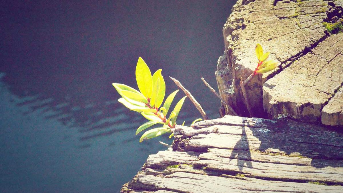 六盘水职业技术学院有那些专业