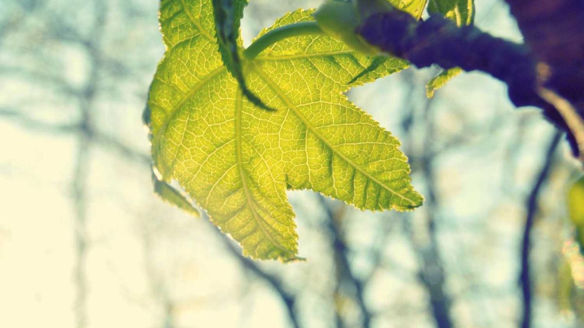 58同城要求上传什么格式的图片