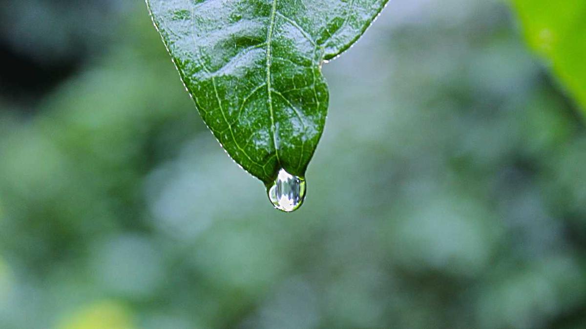 教师私下补课会受到什么处罚