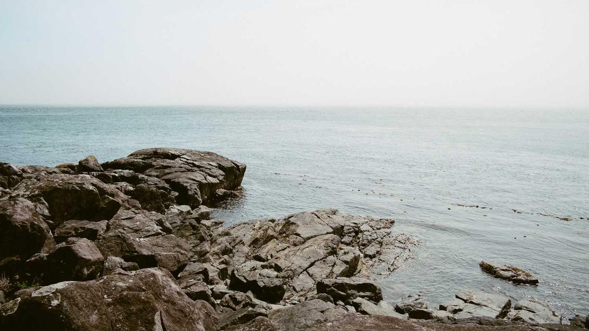 2024年,洛阳到底有多少人口呢?