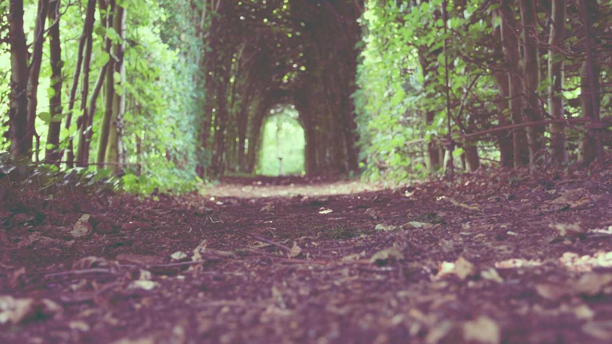 杭州电子科技大学的食堂条件怎么样