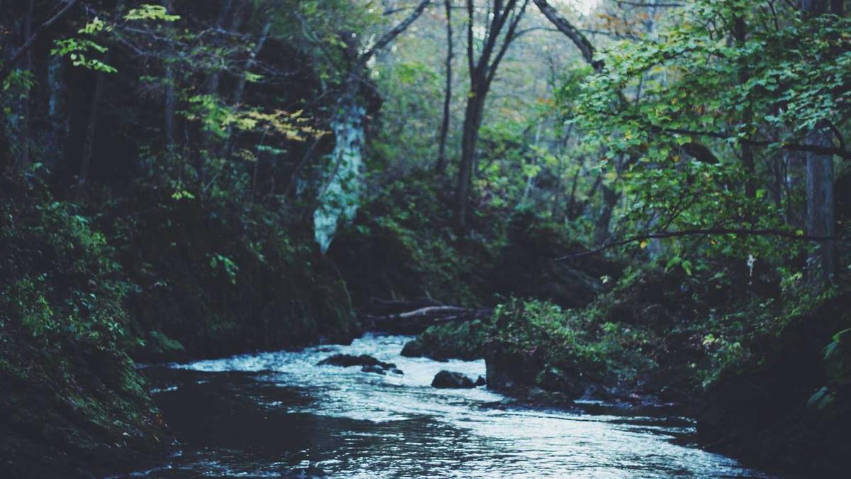 镇江市体育场馆运营管理模式