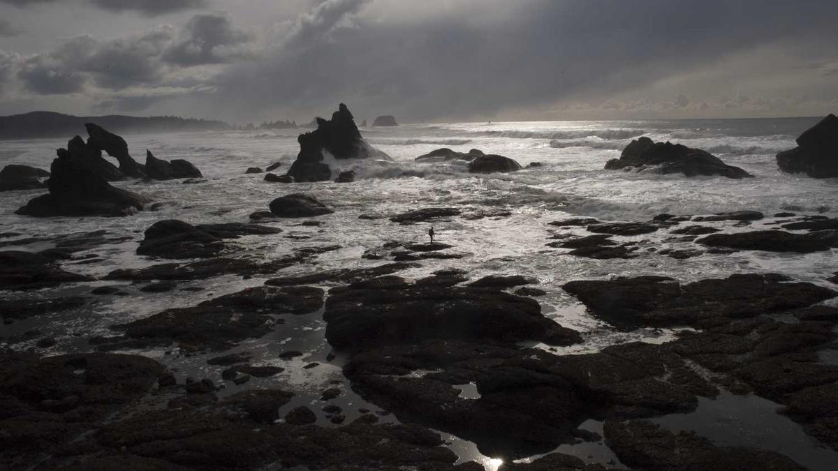 黑龙江七台河邮编