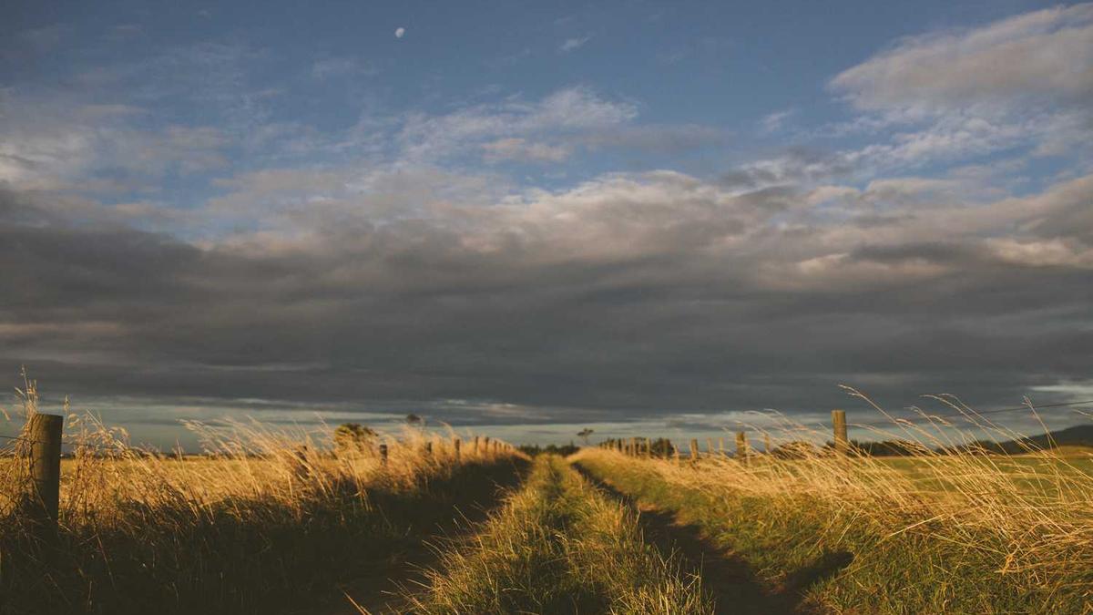 现在比较好用的约会软件有哪些?