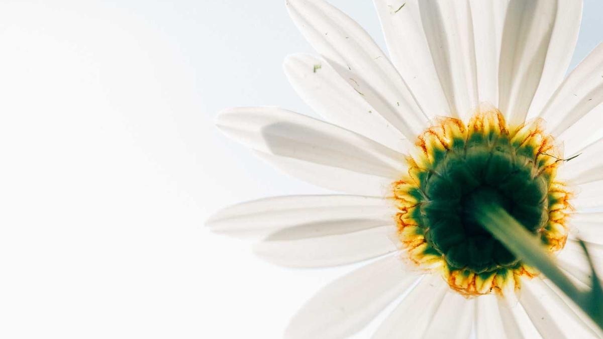 郑智化为什么道歉