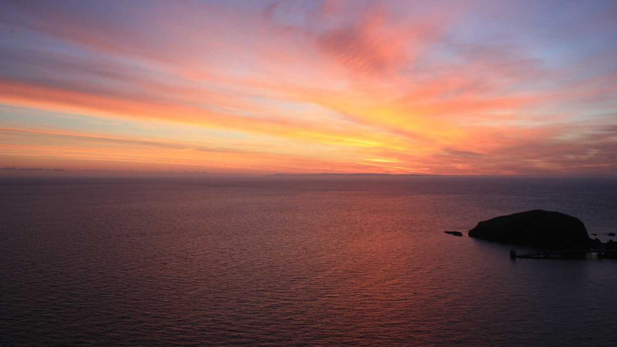 东营志愿服务网如何实名认证