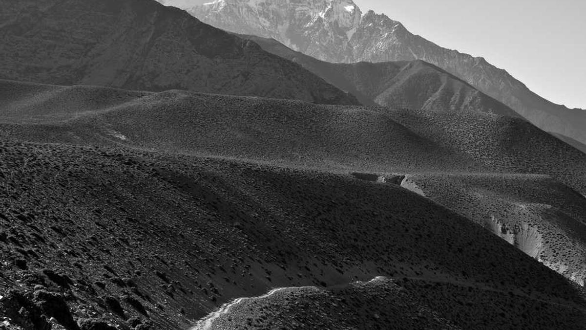 图文解读吉林省2023年行政区划(9地级市州高清地图)