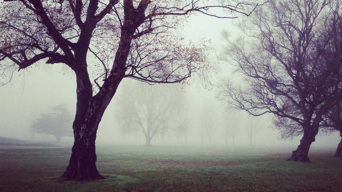 武汉首条地铁环线又有新动作