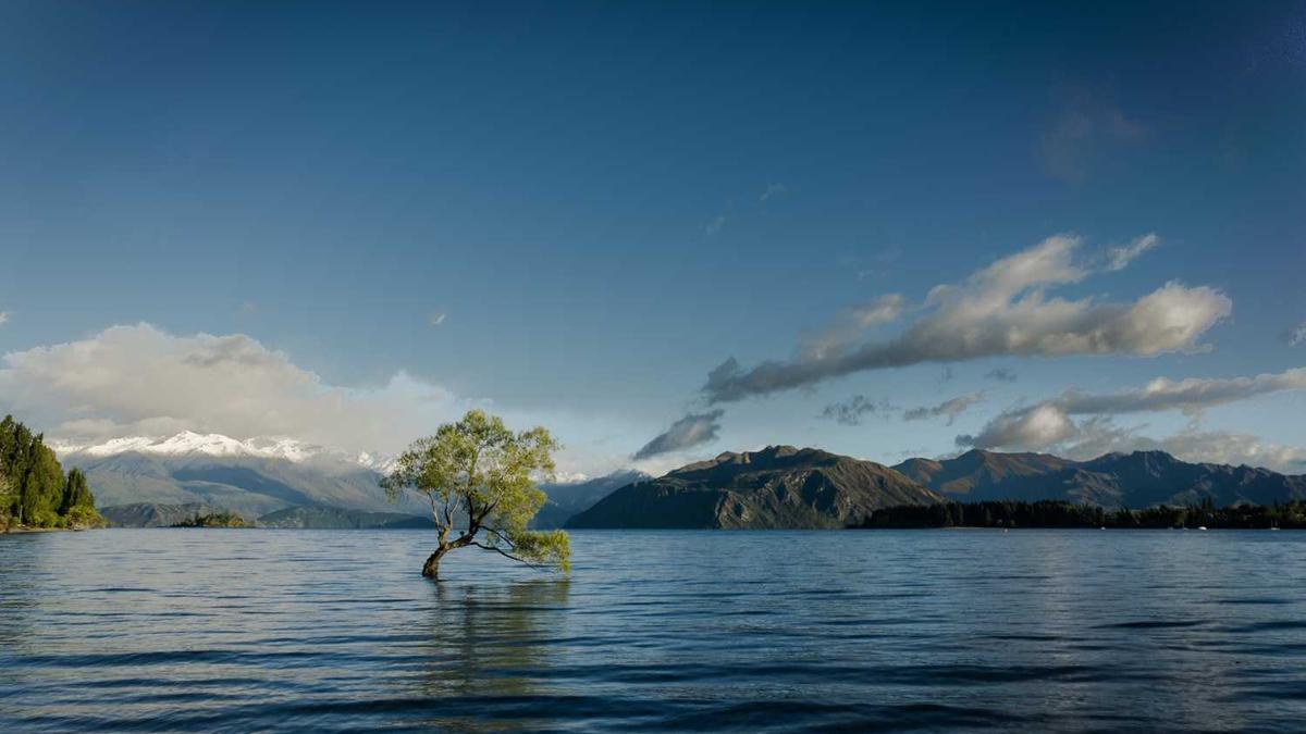 东莞现在的房价是多少钱一平方