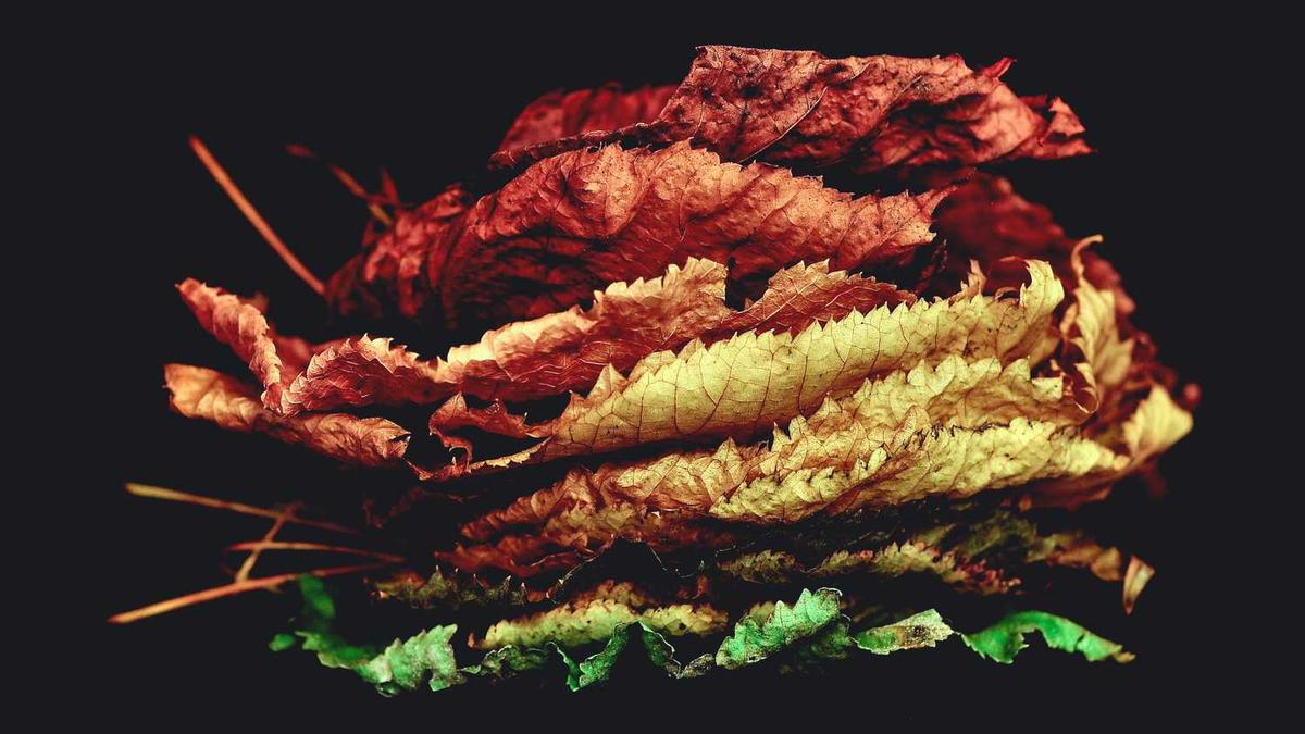 海南万宁旅游攻略必去景点