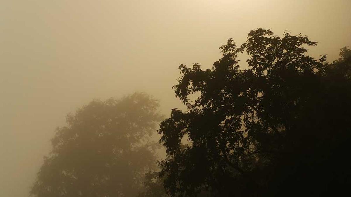 找清官李伙金调去哪里