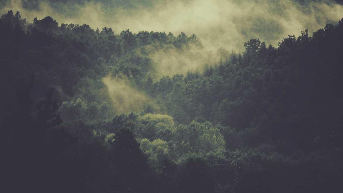 安徽省淮南市寿县人口密度大吗