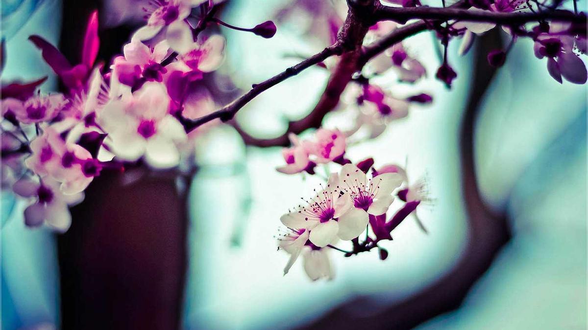 阳江属于湛江市吗