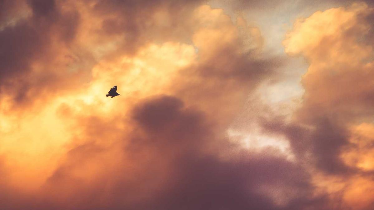 苏州有哪些茶叶市场