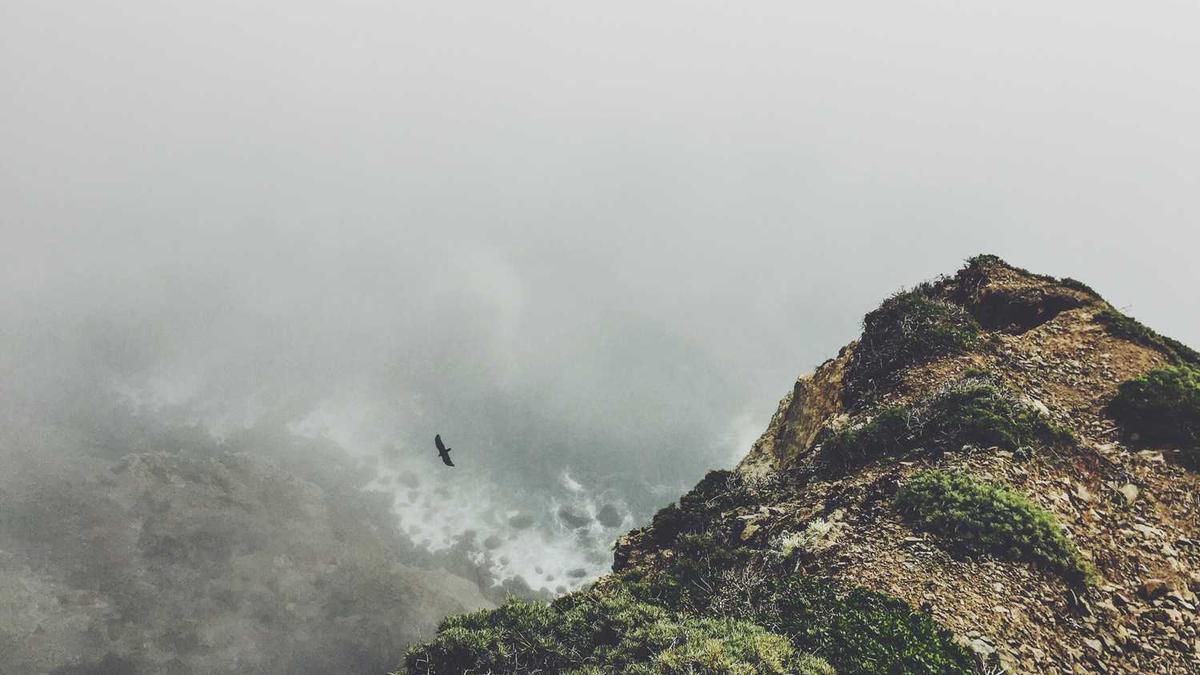 吉林省2025年下半年省直事业单位招聘公告发布时间