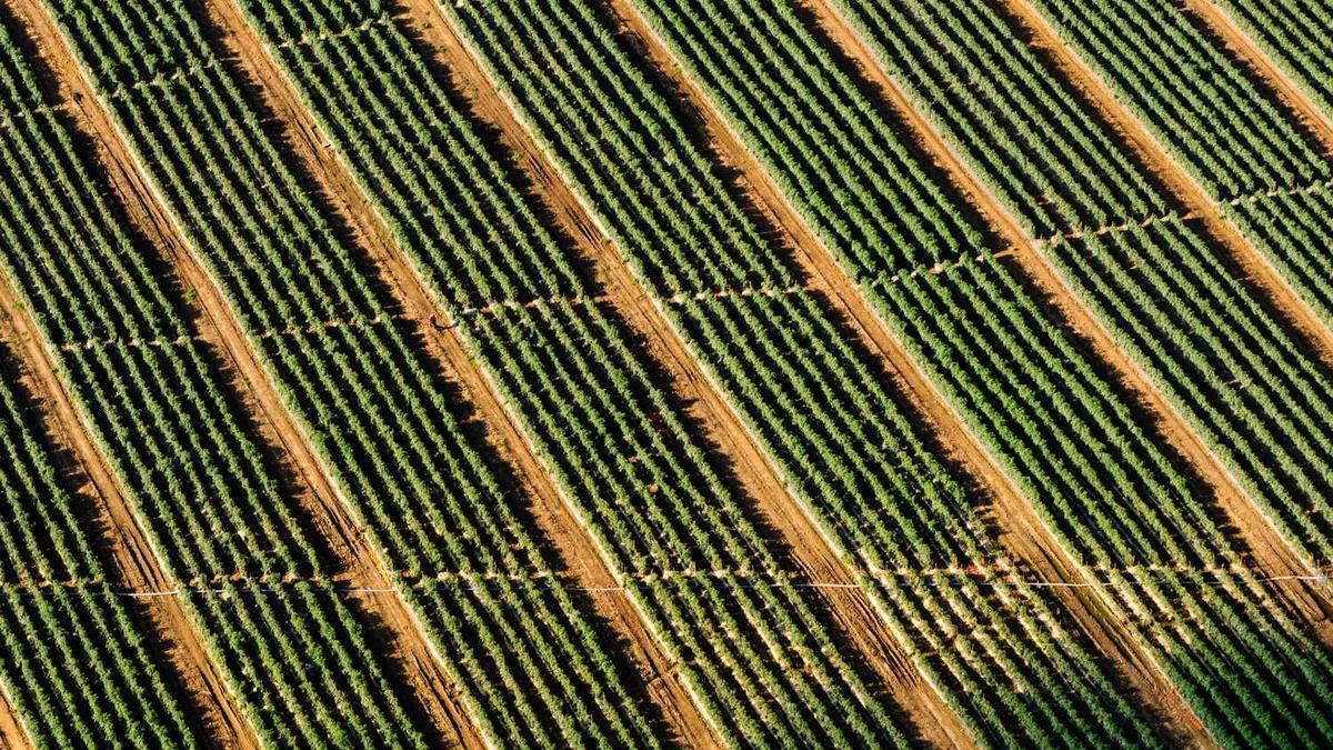 2025年吉林省直事业单位招聘时间表