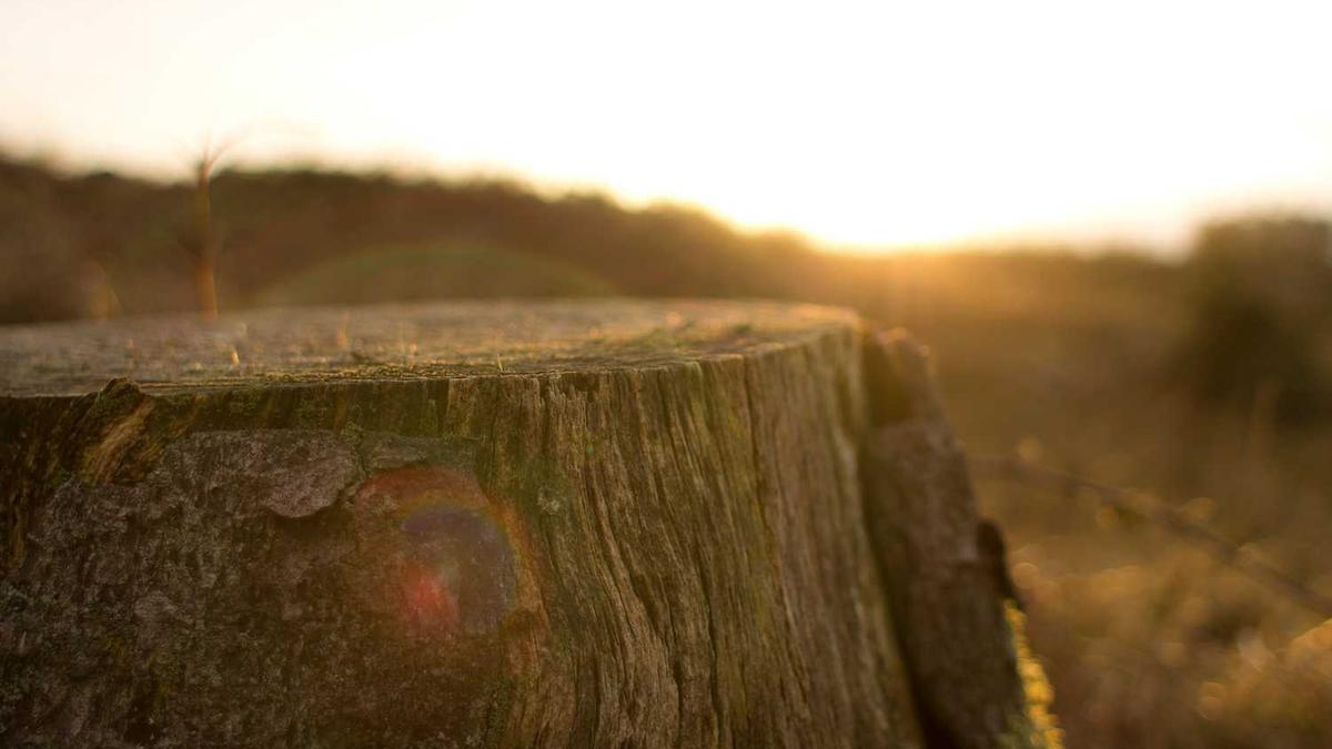 黑龙江佳木斯市人民政府现任领导简介