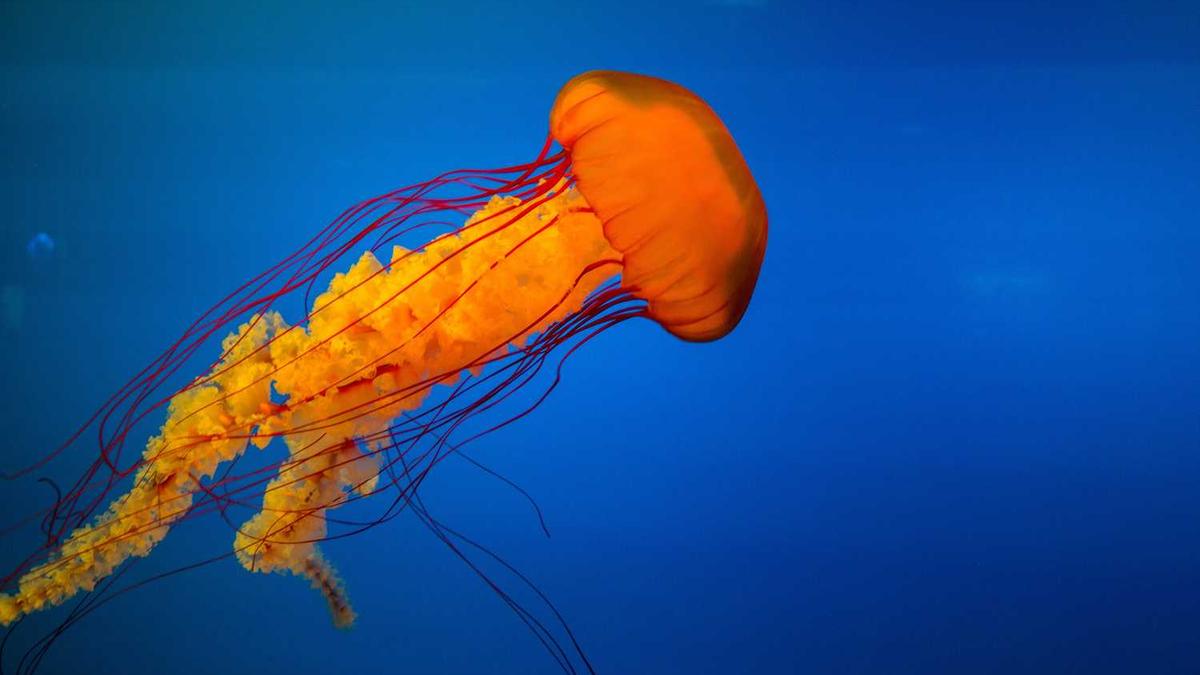 拼抢冲刺!成都轨道交通 10 号线三期工程 红牌楼站~高升桥站盾构区间双...