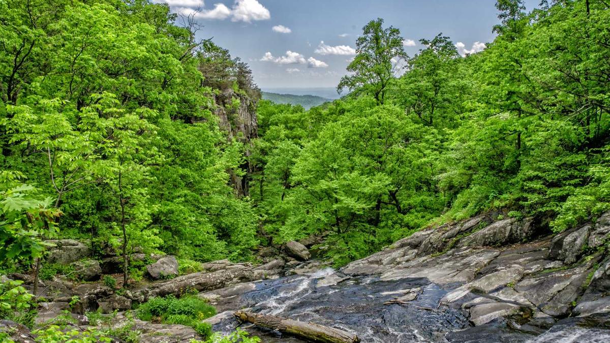 0316开头是哪些催收