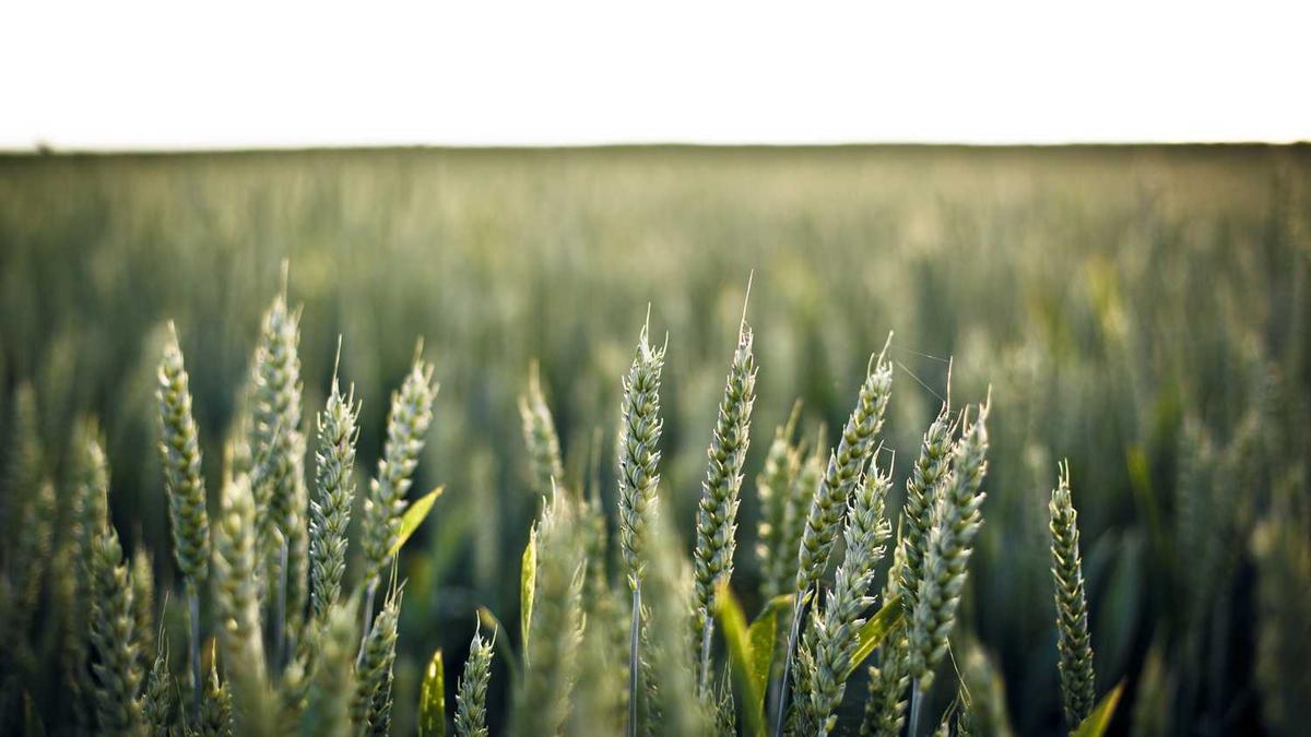 马鞍山学院有什么值得参与的校园活动