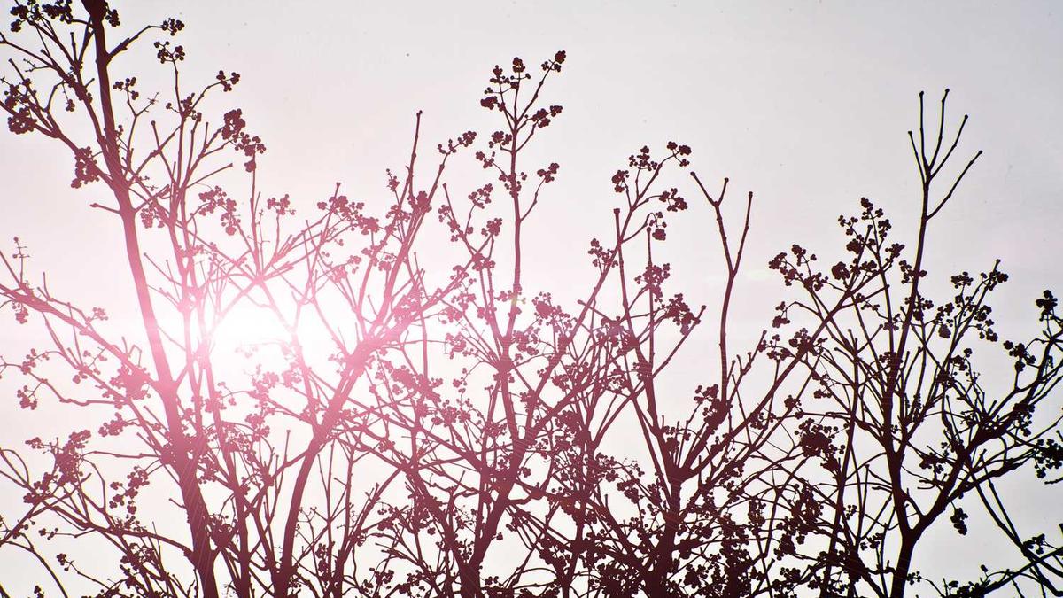 邵阳工业职业技术学院2025招生简章