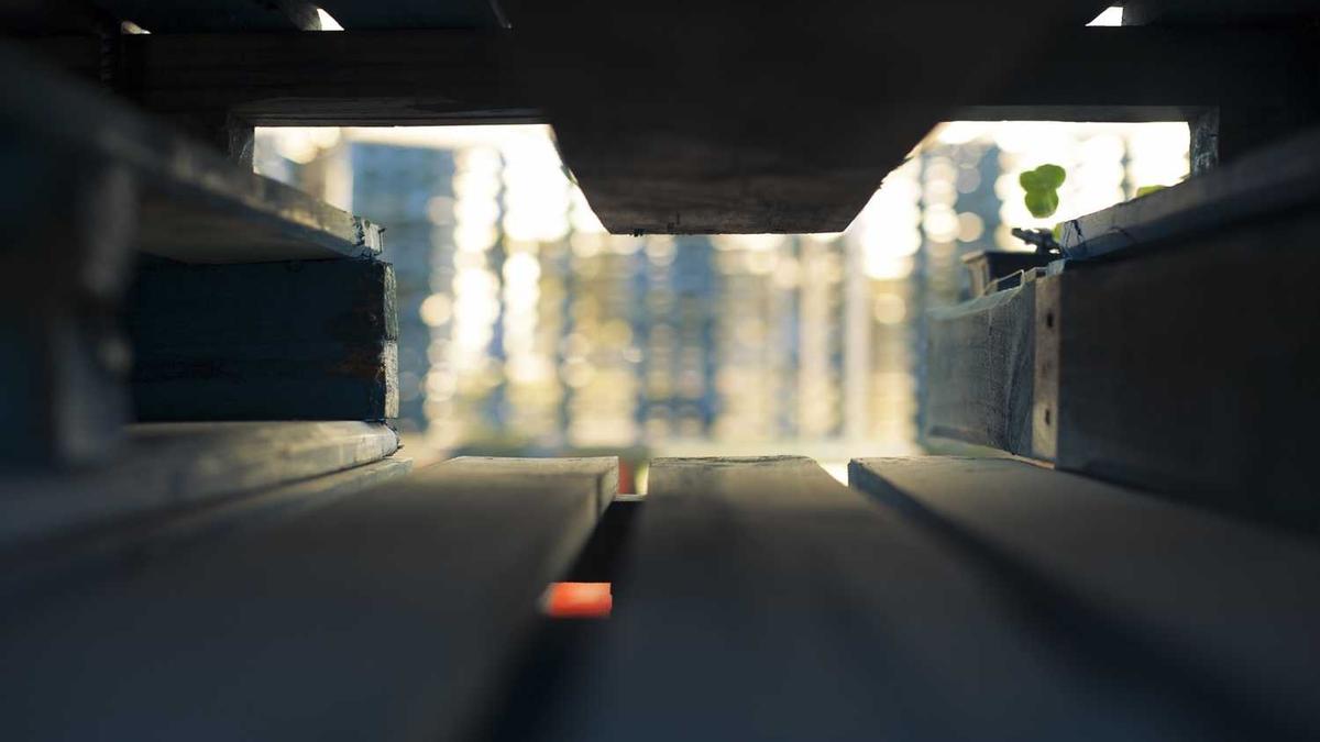 2026考研什么时候预报名