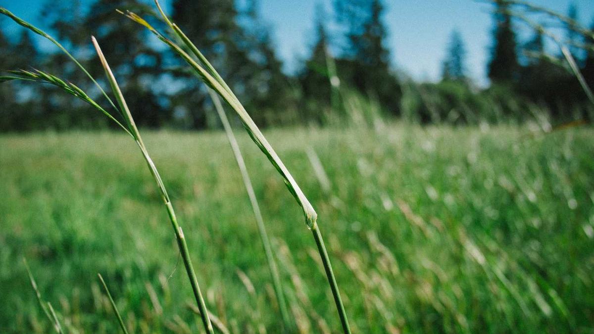 贺州学院是正规大学吗