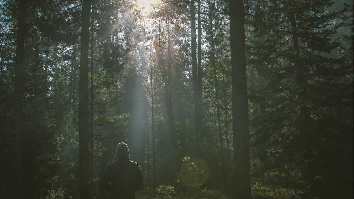 茂名下周一到周五天气会怎么样