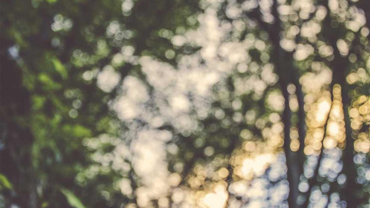 防城港赶海最佳时间