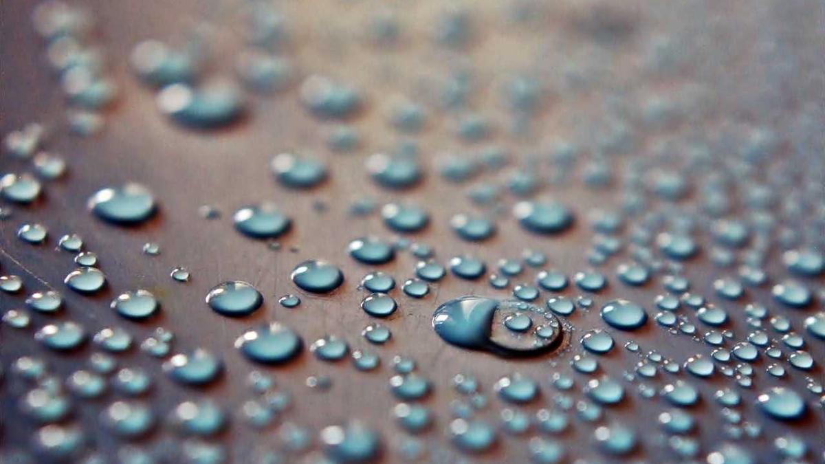 德州农工大学世界排名是怎样的