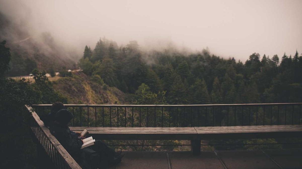 许我耀眼电视剧内容简介