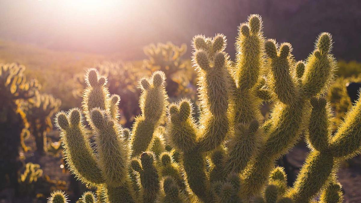 马拉松电池被国家禁售了吗知乎