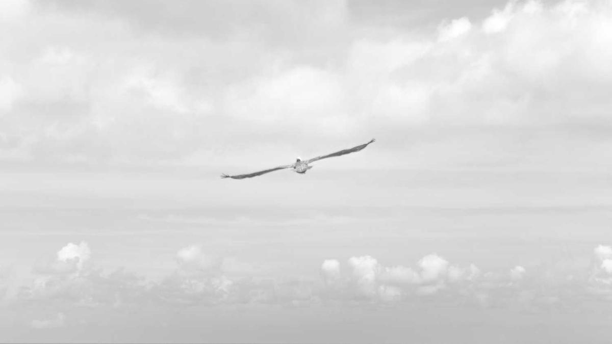 遵义旅游攻略必玩的景点