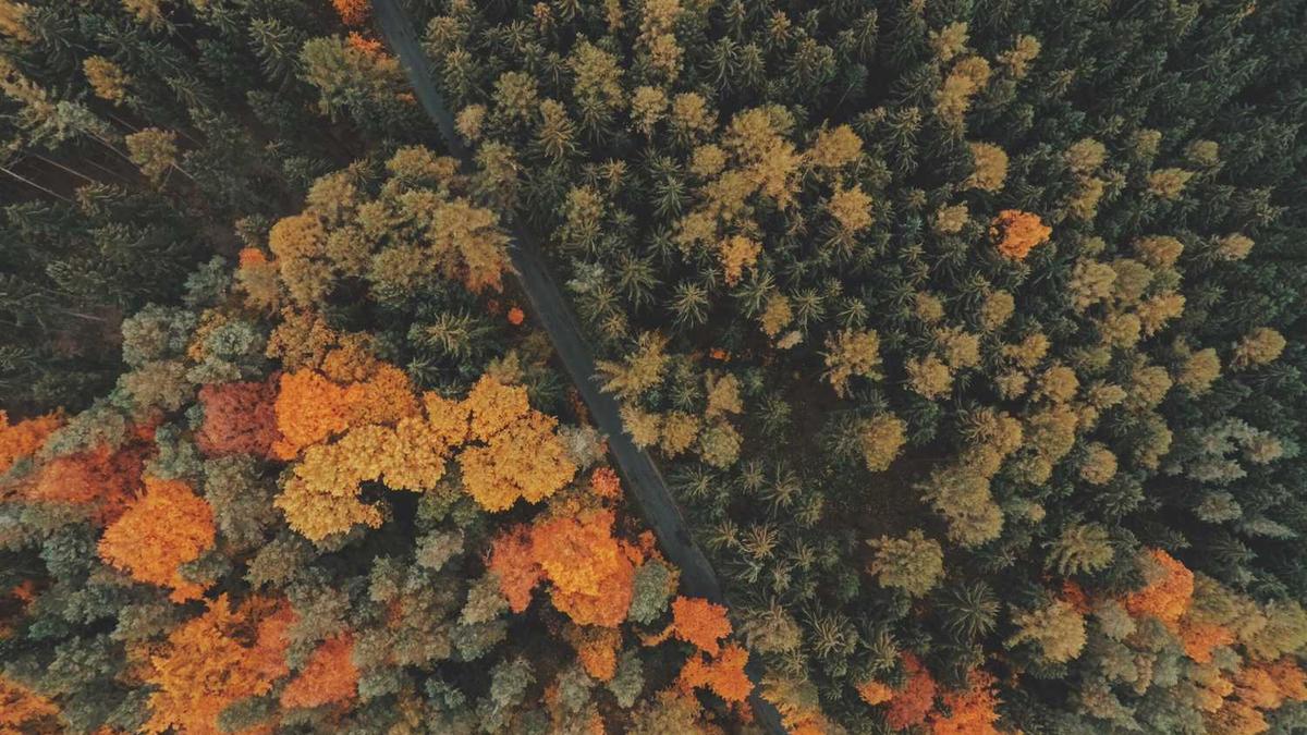 开通绿色通道,龙泉驿200多名农民工快速办好工资卡~