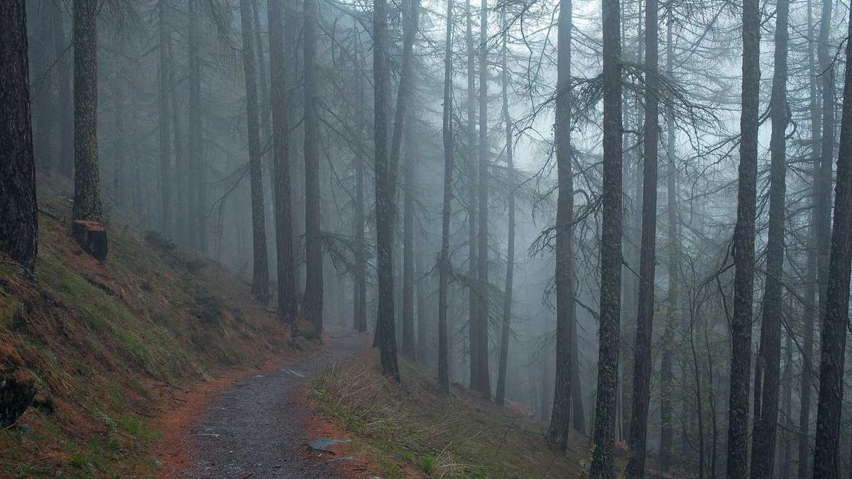 牡丹江特产有哪些 牡丹江有哪些特产