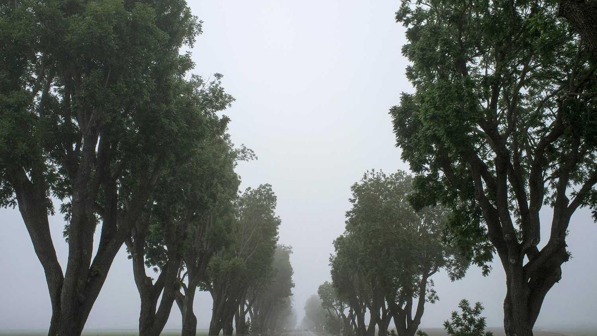 泰安天气预报七天